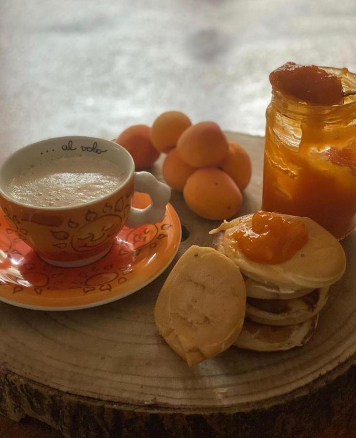 Il Casale Di Punta Prosciutto Bed & Breakfast Ngoại thất bức ảnh